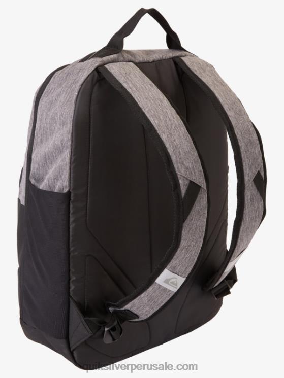 Quiksilver N8LNT372 hombres brezo del patrimonio mochila hielera escolar 30l