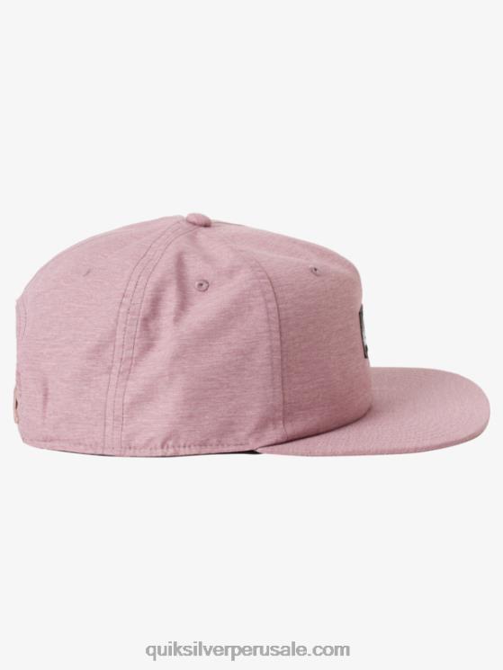 Quiksilver N8LNT1666 hombres brezo orquídea oscuro sombrero snapback dólar de plata