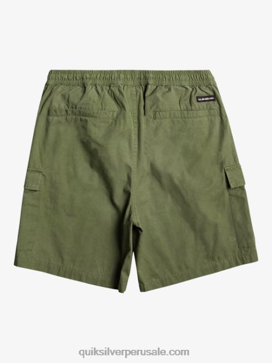 Quiksilver N8LNT1010 hombres trébol de cuatro hojas shorts cargo taxer cintura elastica 19