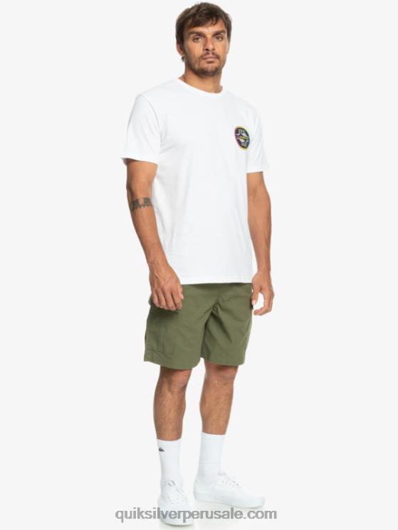 Quiksilver N8LNT1010 hombres trébol de cuatro hojas shorts cargo taxer cintura elastica 19