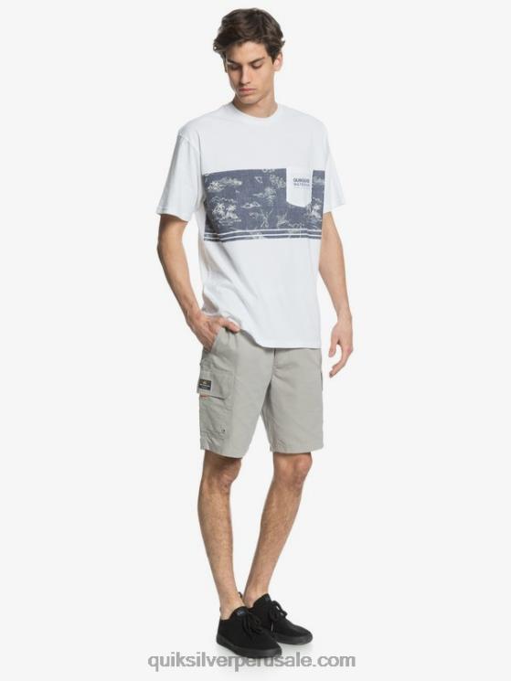 Quiksilver N8LNT1728 hombres pedernal gris shorts cargo waterman maldive 20