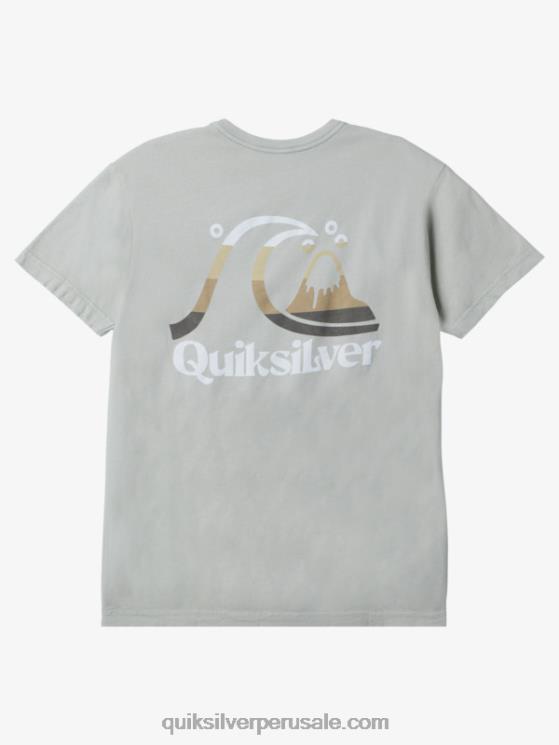 Quiksilver N8LNT1628 hombres salvia del desierto camiseta hora de la isla