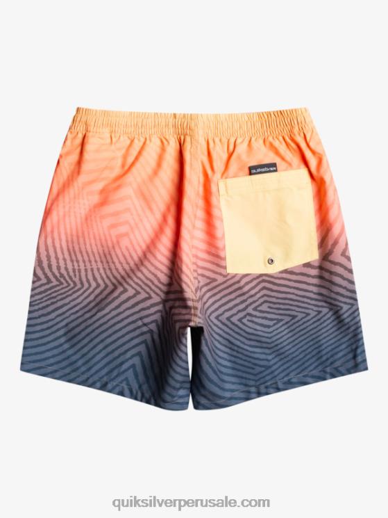 Quiksilver N8LNT1179 hombres azul marino medianoche logotipo deformado todos los días 17 voleas