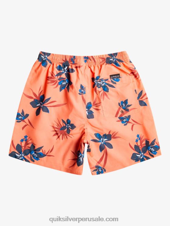 Quiksilver N8LNT1209 hombres salmón fresco mezcla todos los días 17 voleas