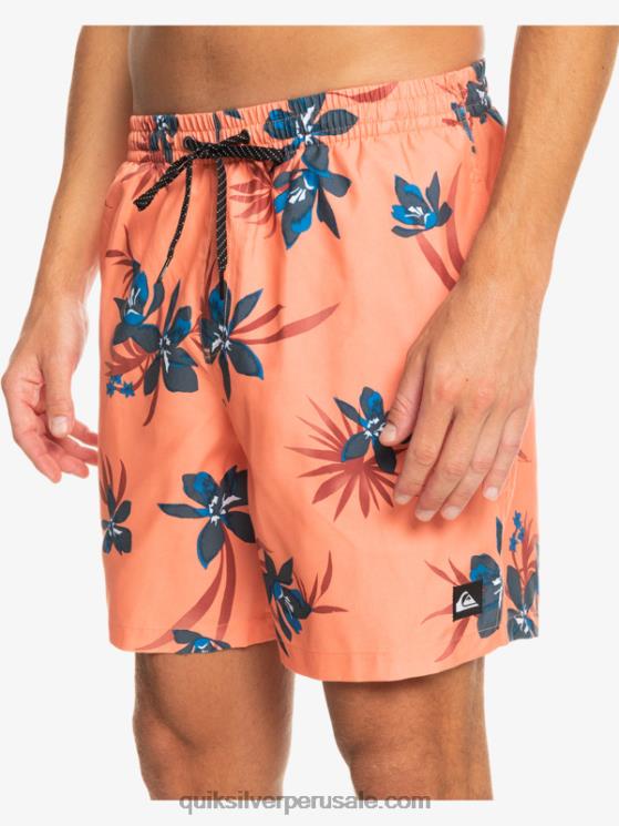 Quiksilver N8LNT1209 hombres salmón fresco mezcla todos los días 17 voleas
