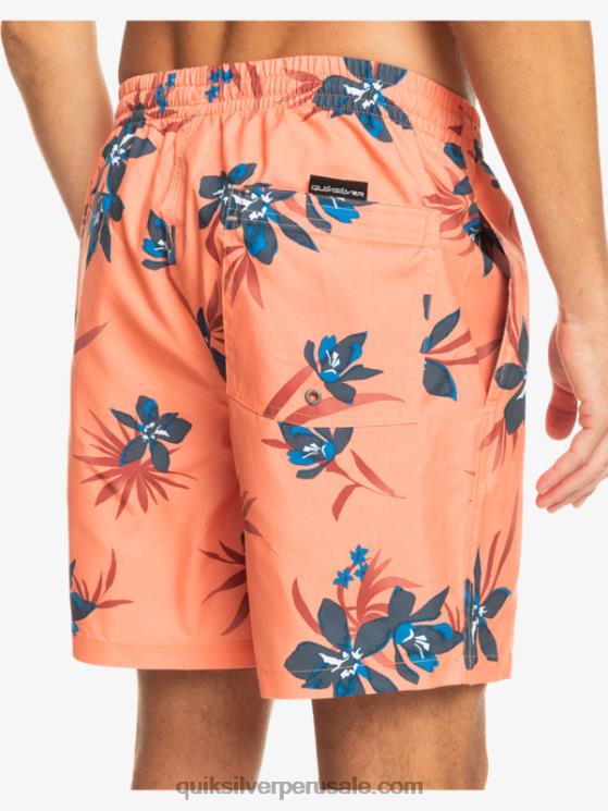 Quiksilver N8LNT1209 hombres salmón fresco mezcla todos los días 17 voleas
