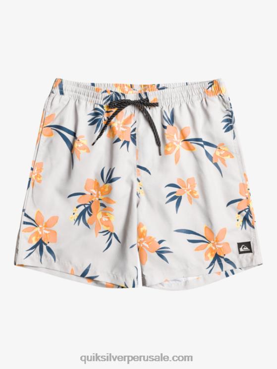 Quiksilver N8LNT1210 hombres gris violeta mezcla todos los días 17 voleas
