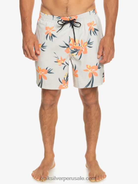 Quiksilver N8LNT1210 hombres gris violeta mezcla todos los días 17 voleas