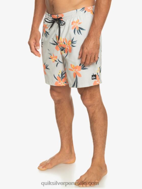 Quiksilver N8LNT1210 hombres gris violeta mezcla todos los días 17 voleas
