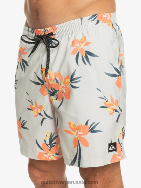 Quiksilver N8LNT1210 hombres gris violeta mezcla todos los días 17 voleas