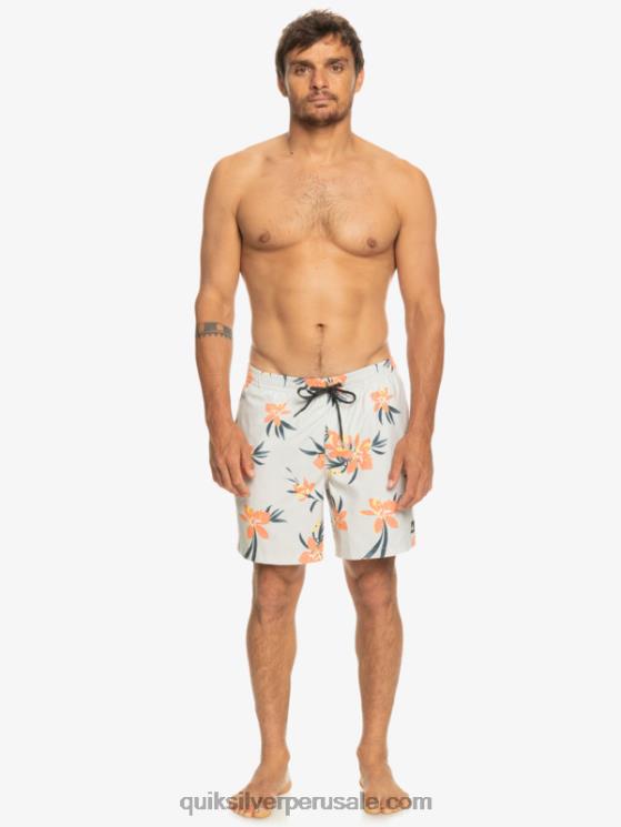 Quiksilver N8LNT1210 hombres gris violeta mezcla todos los días 17 voleas