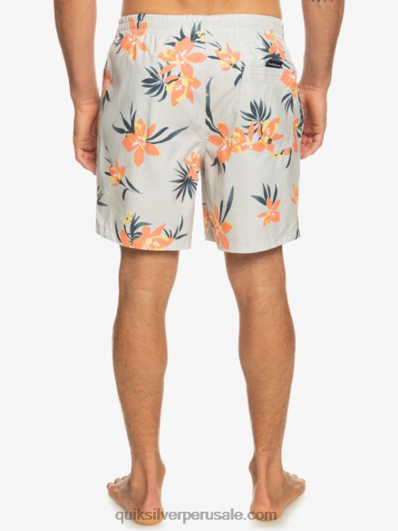 Quiksilver N8LNT1210 hombres gris violeta mezcla todos los días 17 voleas