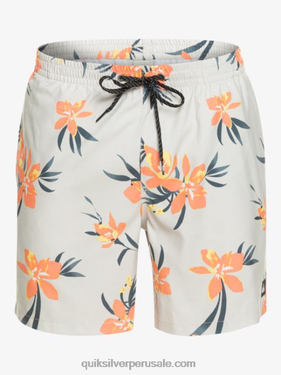 Quiksilver N8LNT1210 hombres gris violeta mezcla todos los días 17 voleas