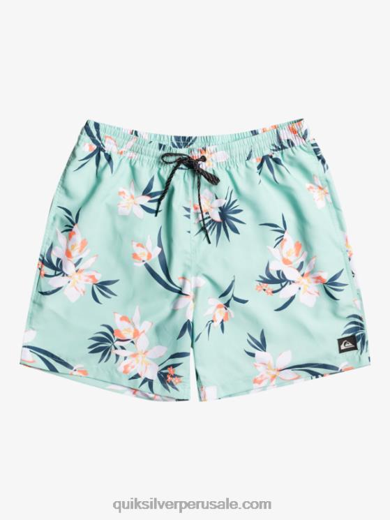 Quiksilver N8LNT1211 hombres vaso de playa mezcla todos los días 17 voleas