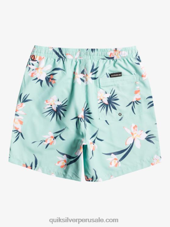 Quiksilver N8LNT1211 hombres vaso de playa mezcla todos los días 17 voleas