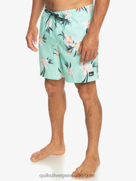 Quiksilver N8LNT1211 hombres vaso de playa mezcla todos los días 17 voleas