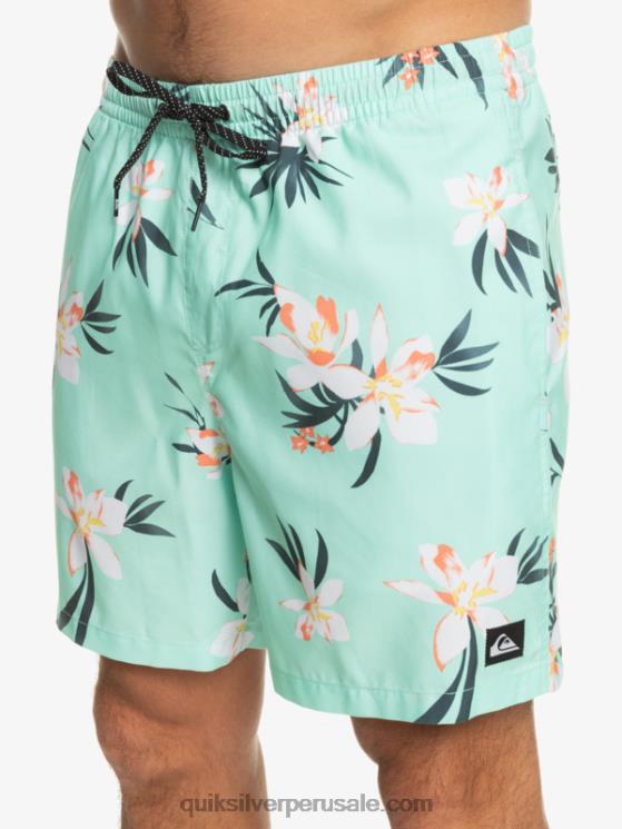 Quiksilver N8LNT1211 hombres vaso de playa mezcla todos los días 17 voleas