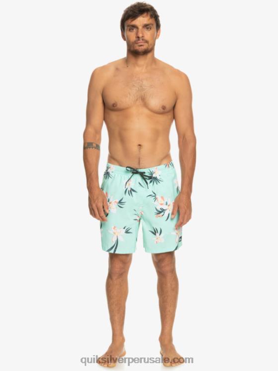 Quiksilver N8LNT1211 hombres vaso de playa mezcla todos los días 17 voleas