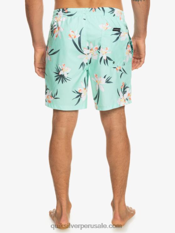 Quiksilver N8LNT1211 hombres vaso de playa mezcla todos los días 17 voleas