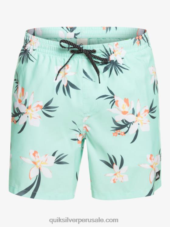 Quiksilver N8LNT1211 hombres vaso de playa mezcla todos los días 17 voleas