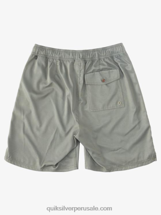 Quiksilver N8LNT1325 hombres aceituna polvorienta shorts de playa waterman scout con cremallera anfibio 20