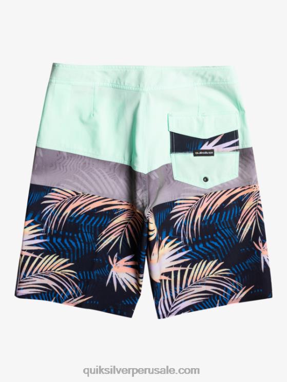 Quiksilver N8LNT134 hombres vaso de playa shorts de playa surfsilk panel 20