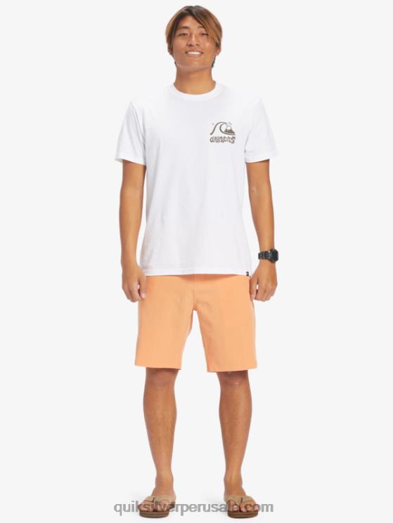 Quiksilver N8LNT143 hombres bronceado cobre pantalones cortos híbridos Ocean Union Amphibian 20