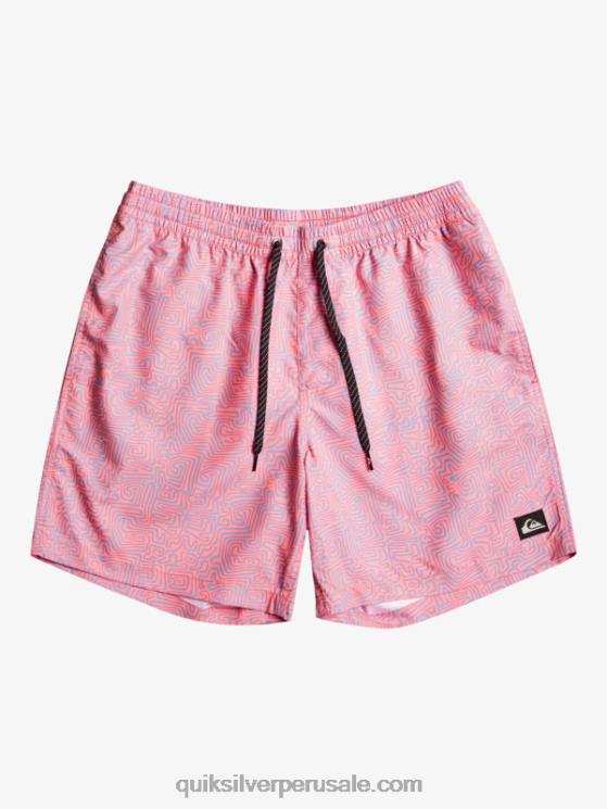 Quiksilver N8LNT1466 hombres látigo de durazno mezcla todos los días 17 voleas