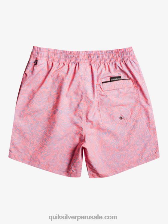 Quiksilver N8LNT1466 hombres látigo de durazno mezcla todos los días 17 voleas