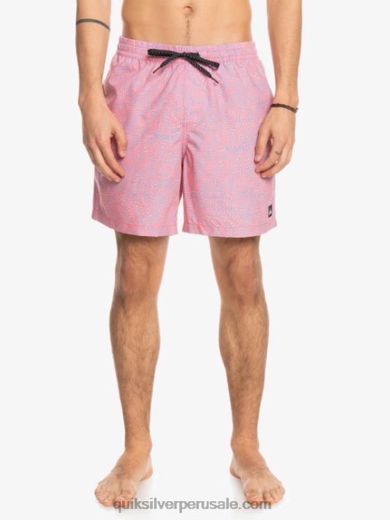 Quiksilver N8LNT1466 hombres látigo de durazno mezcla todos los días 17 voleas
