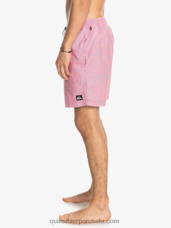 Quiksilver N8LNT1466 hombres látigo de durazno mezcla todos los días 17 voleas