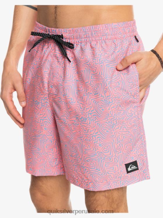 Quiksilver N8LNT1466 hombres látigo de durazno mezcla todos los días 17 voleas