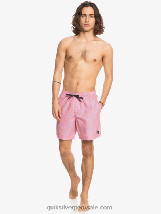 Quiksilver N8LNT1466 hombres látigo de durazno mezcla todos los días 17 voleas