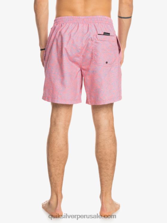 Quiksilver N8LNT1466 hombres látigo de durazno mezcla todos los días 17 voleas