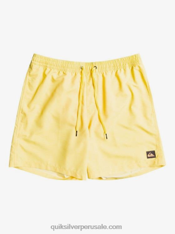 Quiksilver N8LNT1526 hombres limón rallado todos los días 17 voleas