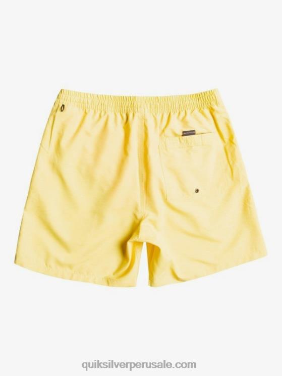 Quiksilver N8LNT1526 hombres limón rallado todos los días 17 voleas