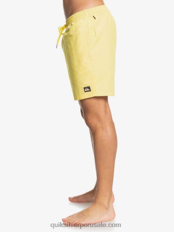 Quiksilver N8LNT1526 hombres limón rallado todos los días 17 voleas
