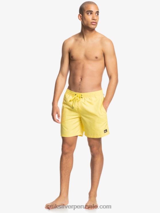 Quiksilver N8LNT1526 hombres limón rallado todos los días 17 voleas