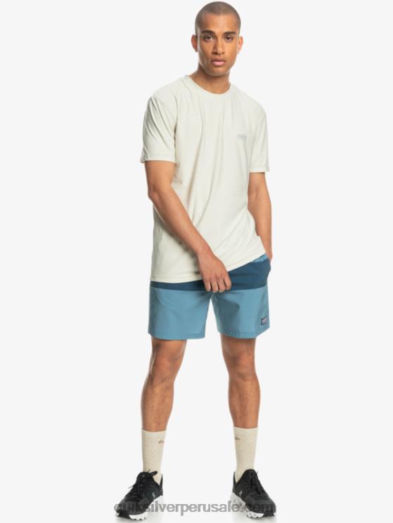Quiksilver N8LNT1690 hombres azul provincial omni entrenamiento 17 pantalones cortos elásticos