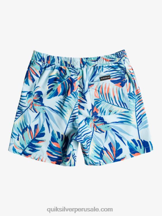Quiksilver N8LNT1707 hombres agua helada ocean mix 17 voleas