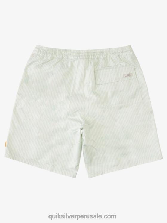 Quiksilver N8LNT1843 hombres sutil raya de cubierta verde baraja waterman stripe 19 voleas