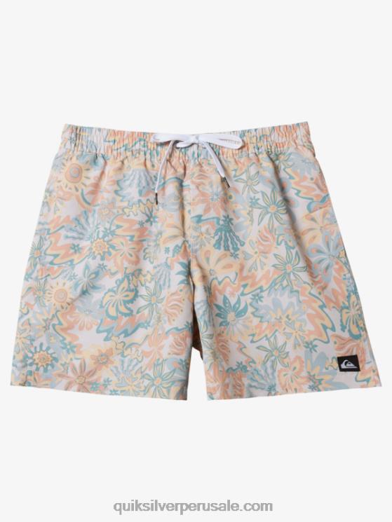 Quiksilver N8LNT357 hombres abedul remezclar 17 voleas