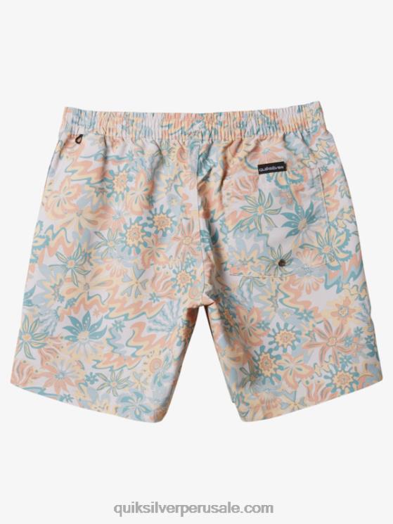 Quiksilver N8LNT357 hombres abedul remezclar 17 voleas