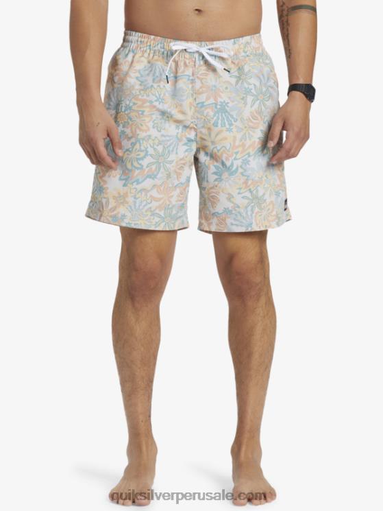 Quiksilver N8LNT357 hombres abedul remezclar 17 voleas