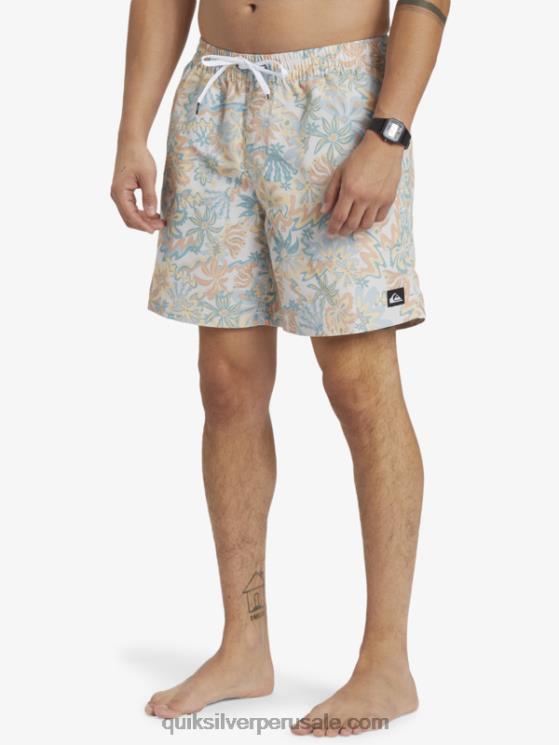 Quiksilver N8LNT357 hombres abedul remezclar 17 voleas