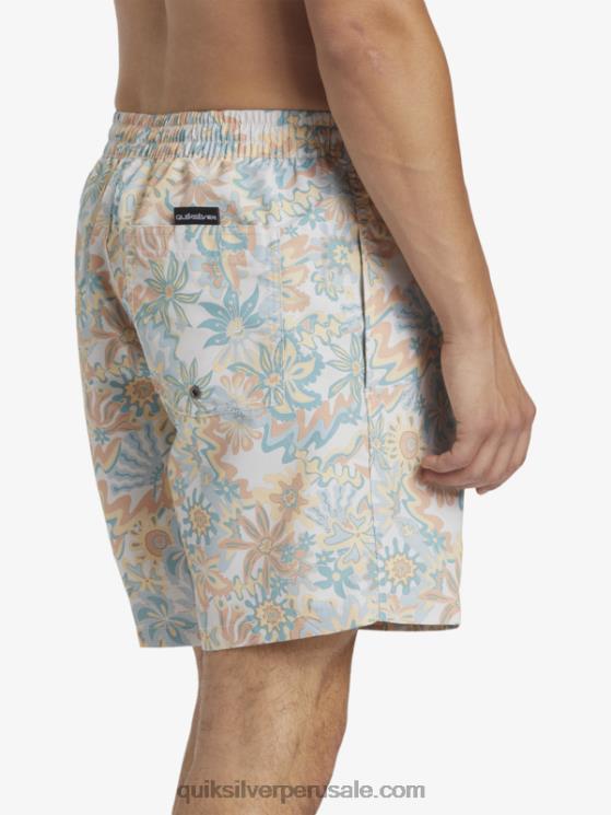 Quiksilver N8LNT357 hombres abedul remezclar 17 voleas