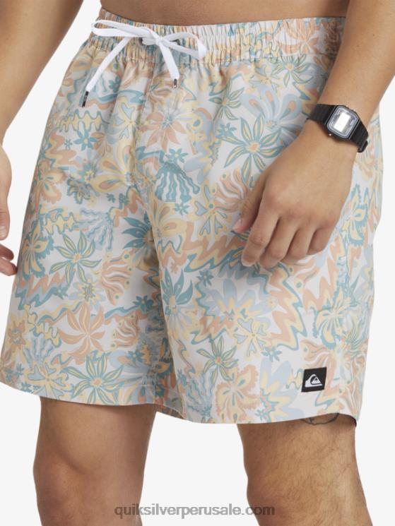 Quiksilver N8LNT357 hombres abedul remezclar 17 voleas