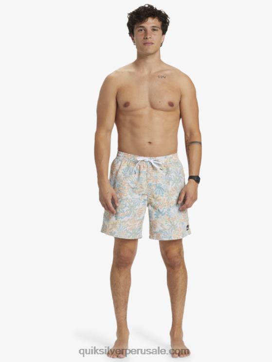 Quiksilver N8LNT357 hombres abedul remezclar 17 voleas