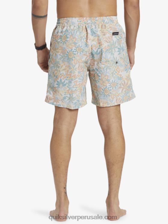 Quiksilver N8LNT357 hombres abedul remezclar 17 voleas