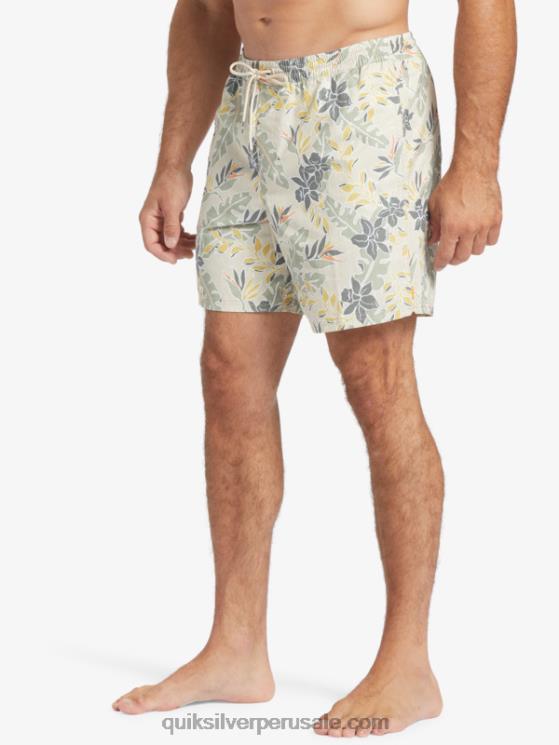Quiksilver N8LNT408 hombres sensación perfecta de arroz integral Waterman sensación perfecta 17 voleas